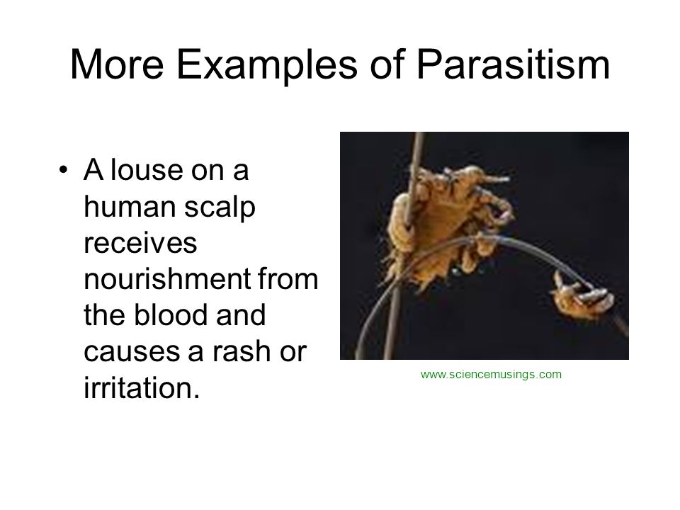Signs That You Are in a Parasitic Relationship